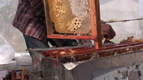 Honeycomb-cutting-in-Chitwan-Nepal