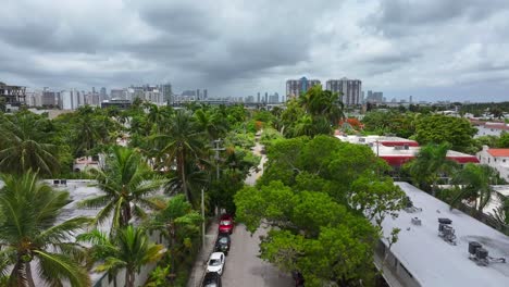 Main-street-of-with-exotic-palm-trees-in-suburb-of-Miami