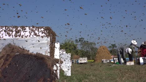 Bienenzucht-In-Chitwan,-Nepal