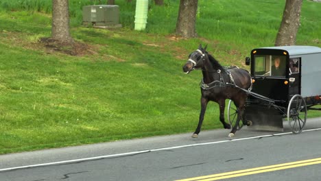 Amish-horse-and-buggy-on-a-road-in-Lancaster-County,-Pennsylvania