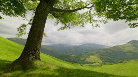 Üppige-Landschaft-Am-Fuße-Der-Pyrenäen-In-Der-Nähe-Von-Lourdes