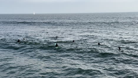 Grupo-De-Surfistas-Flotando-En-El-Océano-Sobre-Sus-Tablas-De-Surf-Con-Un-Velero-Visible-A-Lo-Lejos