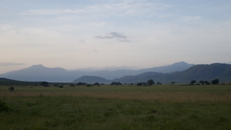 Schwenk-über-Nationalpark-Und-Berglandschaft-In-Afrika