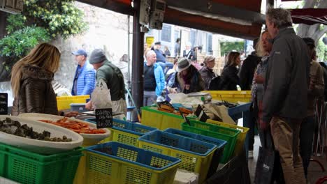 Gente-Explorando-Mariscos-Frescos-En-Un-Bullicioso-Mercado-En-Antibes,-Francia.