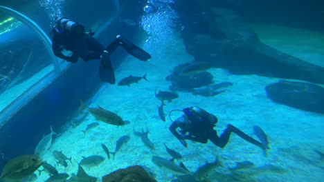 MARINE-DIVERS-DIVE-UNDERWATER-IN-BIG-AQUARIUM