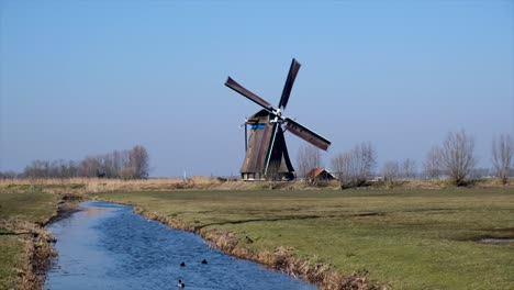 Amidst-fields-and-tranquil-canals,-Dutch-windmill-turns-with-timeless-grace