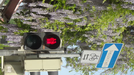 Pedestrian-traffic-light-with-same-sex-couple-symbol