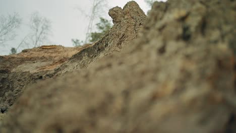 Klippe-Am-Strand-Nach-Dem-Sturm-Mit-Bäumen-Im-Hintergrund