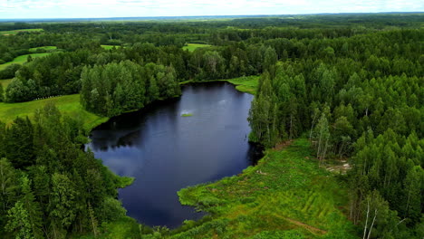 Deep-blue-lake-surrounded-with-green-forest-and-meadows,-aerial-view