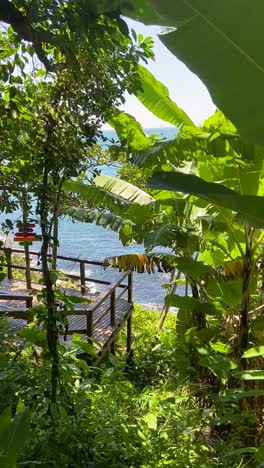 Lush-tropical-foliage-with-banana-leaves-and-ocean-view-on-a-sunny-day-in-Cartagena