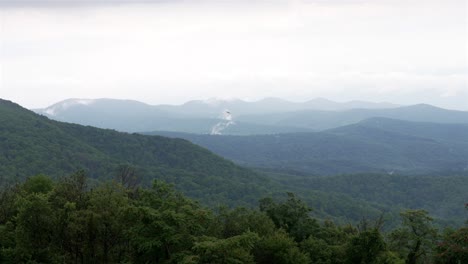 Static-shot-looking-towards-horizon,-showing-an-overcast-sky-with-a-bird-gliding-left-to-right