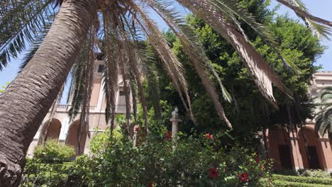 Palm-tree-in-garden-near-Santa-María-cathedral-in-Palma-de-Mallorca,-Spain