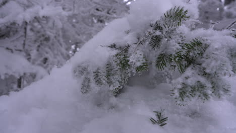 Dolly-Pan-Rodada-En-El-Maravilloso-Invierno-De-La-Montaña-Del-Este-De-Canadá