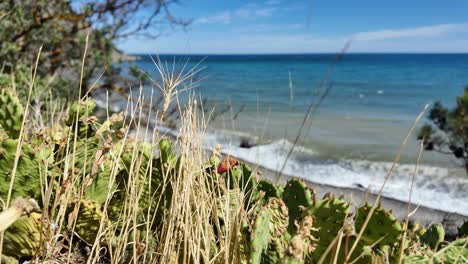 A-view-of-the-Black-Sea-coast-from-Karadag-Mountain-in-Crimea,-Russia