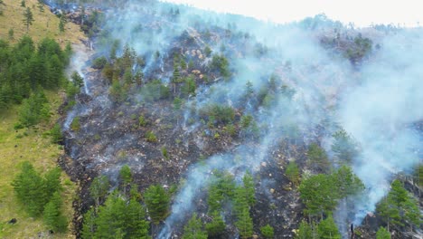 Panoramic-view-of-wildfire-burning-forest-and-mountainside-and-emitting-smoke-and-ash-in-the-air