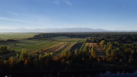 Naturaleza-Otoñal-A-Lo-Largo-Del-Río-Czarna-Orawa-Durante-El-Amanecer-En-Małopolskie,-Polonia