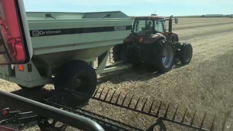 Combine-harvester-transferring-freshly-harvested-soybean-to-tractor-trailer-for-transport