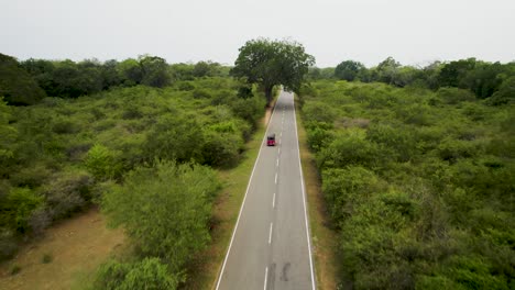 A-red-tuk-tuk-drives-along-a-straight-road-surrounded-by-lush-greenery-in-Sri-Lanka