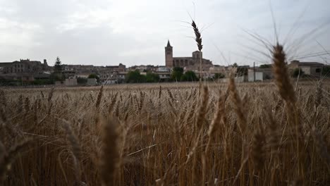 Ikonisches-Symbol-Der-Stadt-Sineu