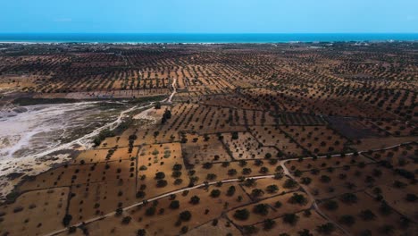 An-aerial-view-of-a-group-of-people-riding-motorcycles-ATV-quad-on-a-dirt-road-near-the-beach-at-Mahdia