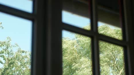 View-from-window-on-swaying-trees-in-strong-wind