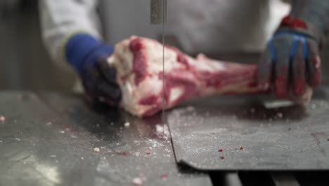 Cow-leg-bone-being-sliced-in-half-by-a-linear-saw-at-a-meat-processing-plant,-Close-up-shot