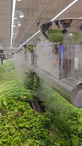 Fresh-herbs-are-being-misted-with-water-at-the-store,-focusing-on-the-humidification-of-greenery-and-salad-plants