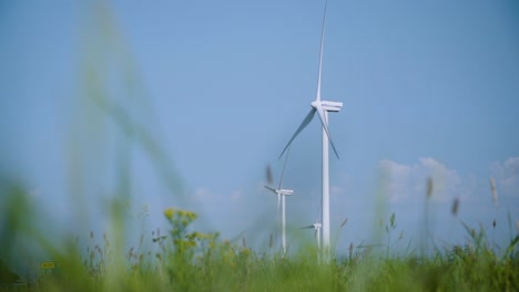 Turning-Wind-Turbines-Creating-Energy-with-Long-Grass-Fields-and-Yellow-Daisies-view-under-Clear-Blue-Sky