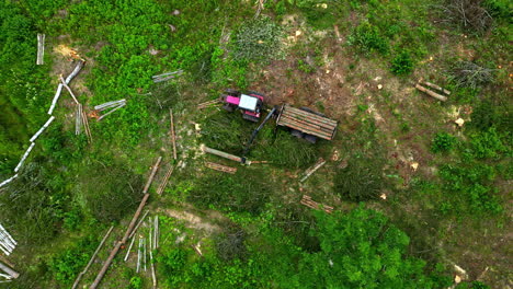 Logging-a-Baltic-birch-in-a-forest---straight-down-aerial-view-of-a-log-loader-tractor-trailer