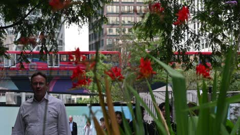 View-to-the-DLR-from-the-Jubilee-Park-within-Canary-Wharf,-London,-United-Kingdom