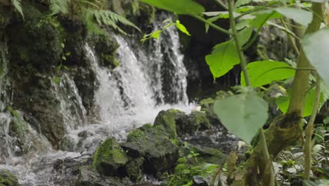 Wasserquellen-Im-Nationalpark-Uruapan-Michoacan-An-Einem-Bewölkten-Tag,-Zeitlupe