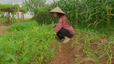 Junge-Asiatische-Frau-Im-Garten-Barfuß-Tragen-Traditionellen-Reis-Hut