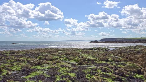 Irlands-Epische-Orte,-Küste-Von-Waterford,-Ein-Teppich-Aus-Seetang-Bei-Ebbe,-Dramatischer-Himmel,-Ein-Spätsommernachmittag-An-Der-Kupferküste