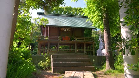 Walking-through-torii-gate-towards-wooden-shrine-building-in-Japan