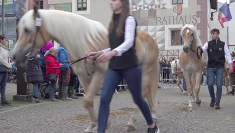 Part-of-the-Haflinger-horse-parade-in-the-village-center-od-Schluderns---Sluderno,-South-Tyrol,-Italy