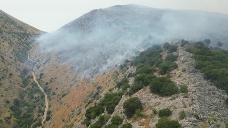 Los-Incendios-Forestales-Consumen-La-Vegetación-En-La-Ladera-De-La-Montaña,-Liberando-Humo-Y-Cenizas-Al-Aire.