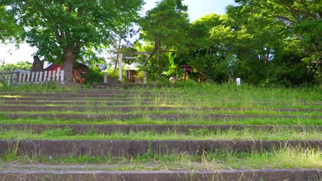 Slow-motion-walk-across-stunning-temple-in-Japanese-nature