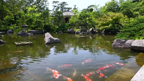 Famoso-Jardín-Paisajístico-Hayama-Shiosai-En-Kanagawa,-Cerca-De-Tokio