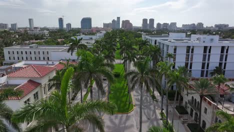 Palm-tree-lined-driveway-leading-to-upscale-buildings