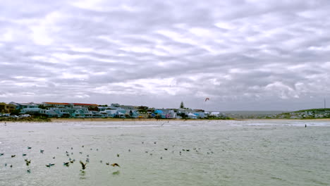 Vista-Desde-El-Puerto-De-Still-Bay-Al-Oeste-Con-Kitesurfistas-Y-Surfistas-En-El-Agua