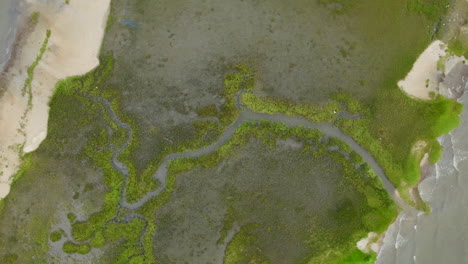 Top-down-aerial-of-a-small-creek-that-intersects-a-marshy-island-off-the-coast-of-Charleston,-SC