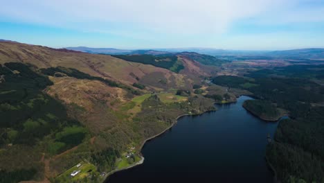 Green-pine-tree-forest-in-the-Loch-Lomond-and-Trossachs-Park