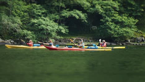 Kayakers-navigate-the-gentle-waves-of-the-Naeroy-fjord,-framed-by-vibrant-green-shores