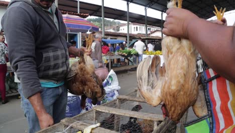 Chicken-sold-at-a-street-market-in-Minas-Gerais,-Brazil