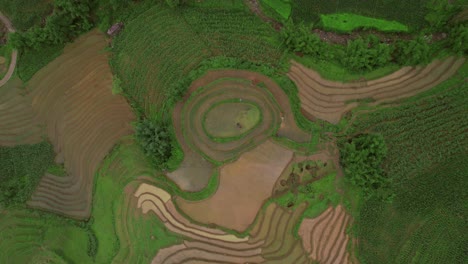 Top-down-view-on-brown-green-field-pattern,-circle-drone-flight-with-an-epic-view-on-the-nature,-slow-motion-with-strong-colors