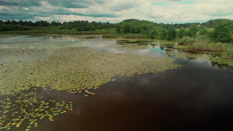 Beautifil-water-pond-in-the-country,-surrounded-by-forests-and-meadows