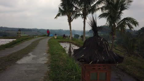 Panning-boom-up-shot-of-a-driving-path-in-Jatiluwih-Rice-Terrace-as-an-unidentified-man-drives-a-scooter-in-a-red-shirt