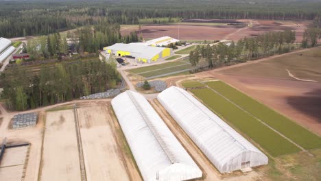 A-serene-pine-nursery-in-Latvia-featuring-rows-of-young-pine-trees,-neatly-arranged-and-thriving