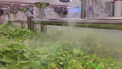 Fresh-herbs-are-being-misted-with-water-at-the-store,-focusing-on-the-humidification-of-greenery-and-salad-plants