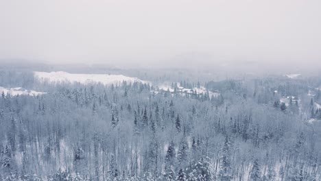 Paisaje-Invernal-Brumoso---Drone-Volando-4k---Montañas---árboles,-Ríos,-Nevados---árboles-Cinemáticos